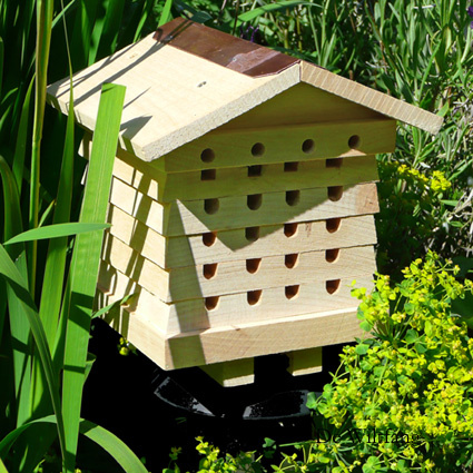 Een fijne leefomgeving voor insecten