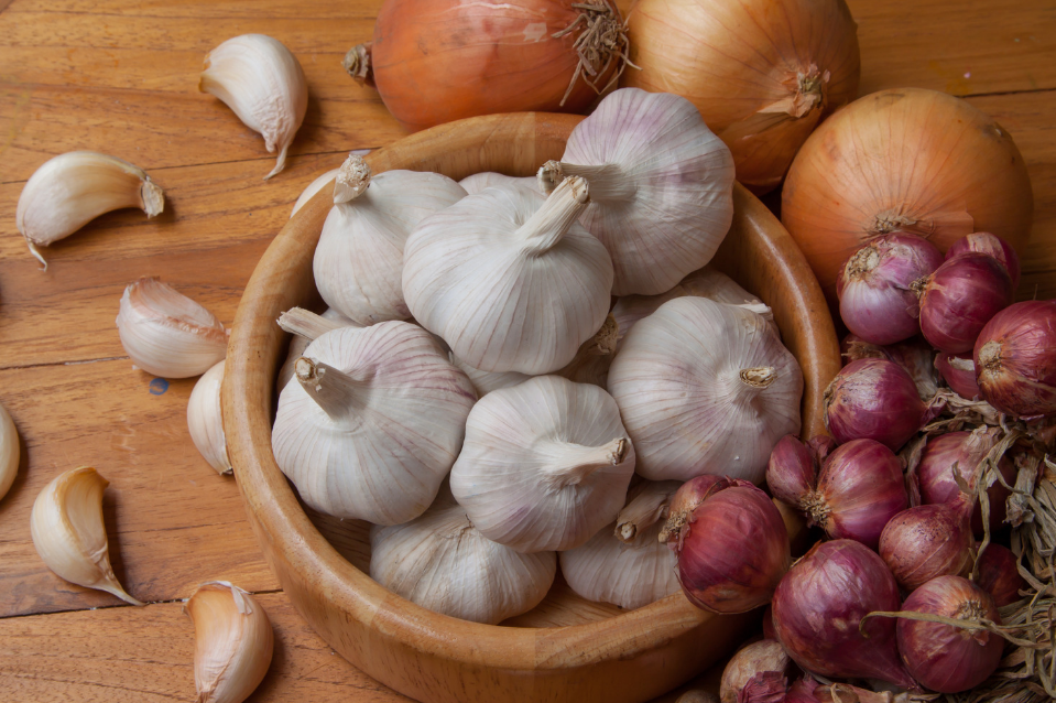 Uien en knoflook oogsten