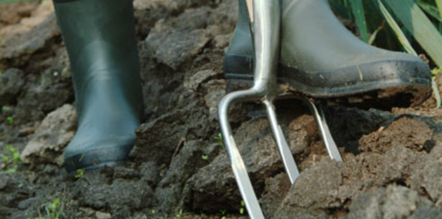 Grondbewerking in november – Een goed plan?