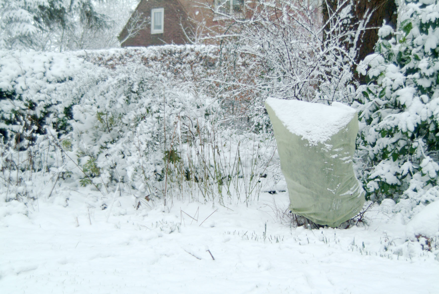 Vorstbescherming – 5 tips