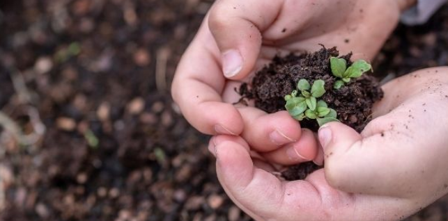 Een moestuin starten met kinderen