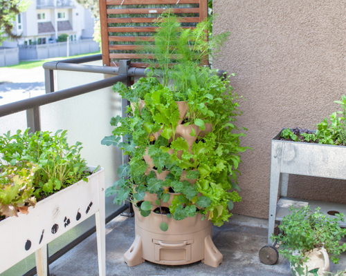Tuinieren in een kleine tuin of op een balkon – een knusse uitdaging