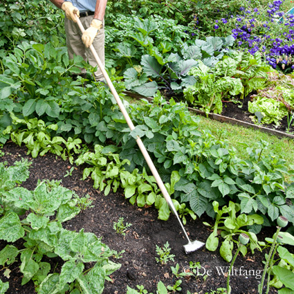 De 4 principes van grondbewerking