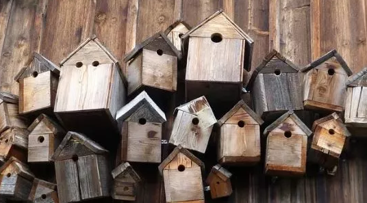 Het broedseizoen voor vogels begint bijna!