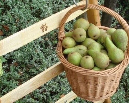 Plukken bloemen en fruit