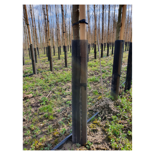 Meuwissen Agro Flex Guard Boombeschermer - 4 stuks - 55 x 6 cm