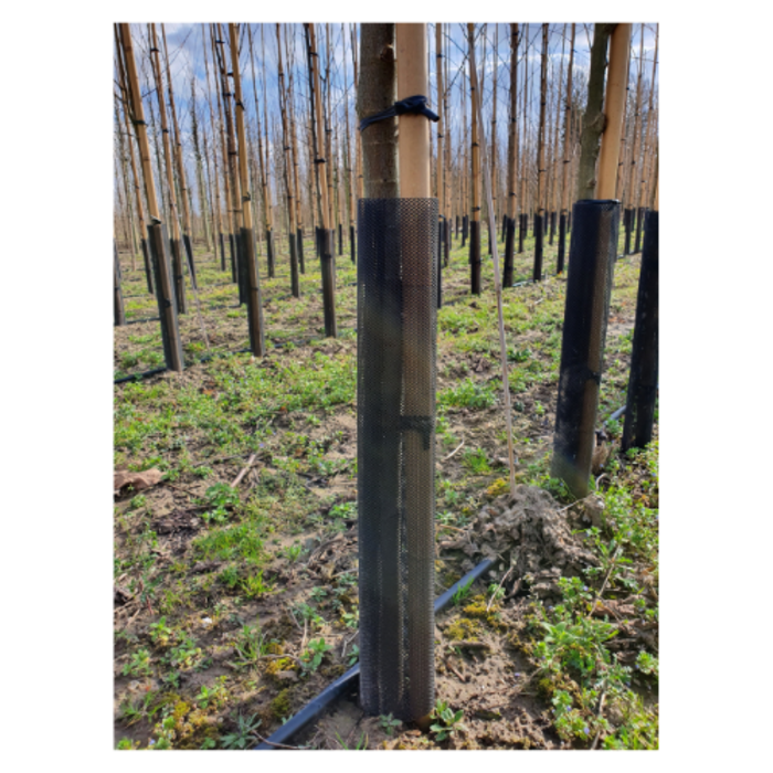 Meuwissen Agro Flex Guard Boombeschermer - 4 stuks - 55 x 6 cm
