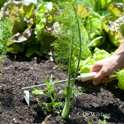 Sneeboer Schrepel - Rechtshandig - 10 cm