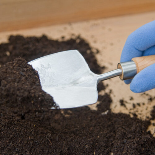 Sneeboer Verplantschopje klein