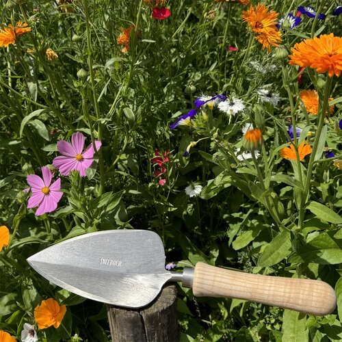 Sneeboer Verplantschopje - Eessenhouten steel