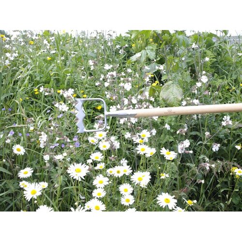 Sneeboer Kroonschoffel - D-model - Royal