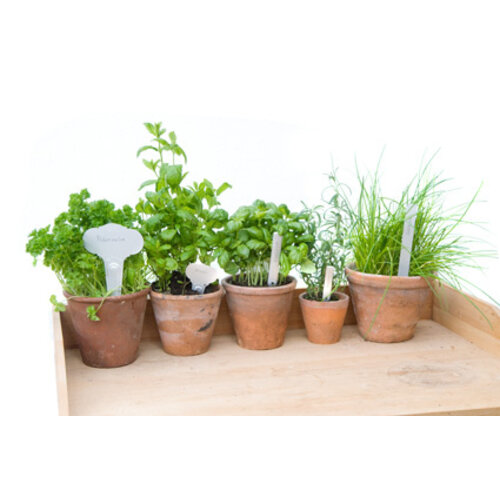 De Wiltfang Steeketiketten recht 20 cm - 10 stuks