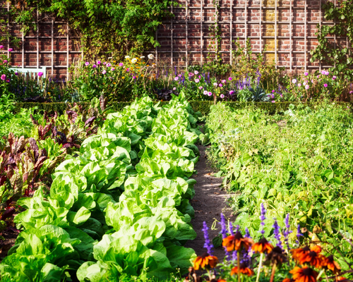 Voed de bodem van de moestuin