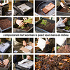 De Wiltfang Composteren met Wormen - Handleiding