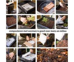 De Wiltfang Composteren met Wormen - Handleiding