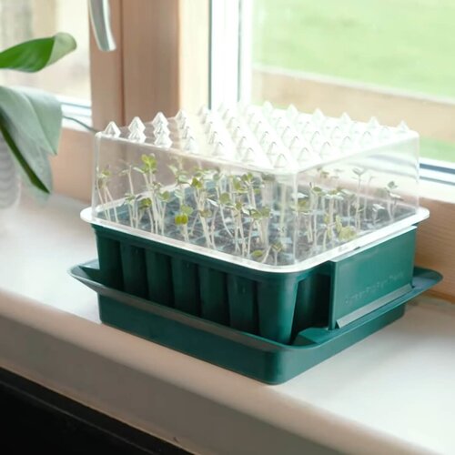 Meuwissen Agro Zaaibakje voor 49 plantjes - Compact