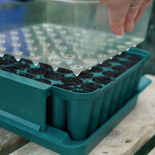 Meuwissen Agro Zaaibakje voor 49 plantjes - Compact