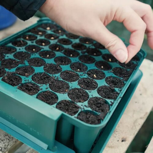 Meuwissen Agro Zaaibakje voor 49 plantjes - Compact