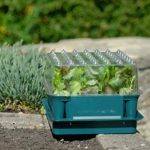 Meuwissen Agro Zaaibakje voor 49 plantjes - Compact