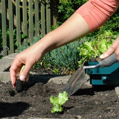 Meuwissen Agro Zaaibakje voor 49 plantjes - Compact