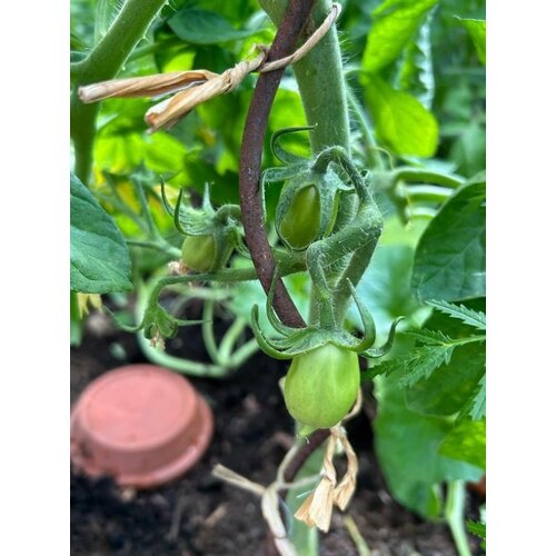 De Wiltfang Binddraad bundel - 18 cm - Opbinden