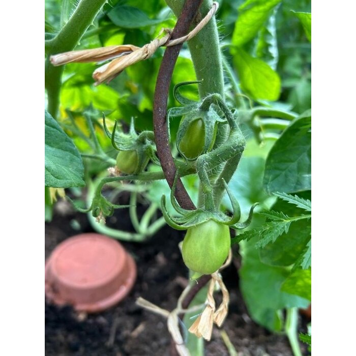 De Wiltfang Binddraad bundel  - 18 cm - Opbinden