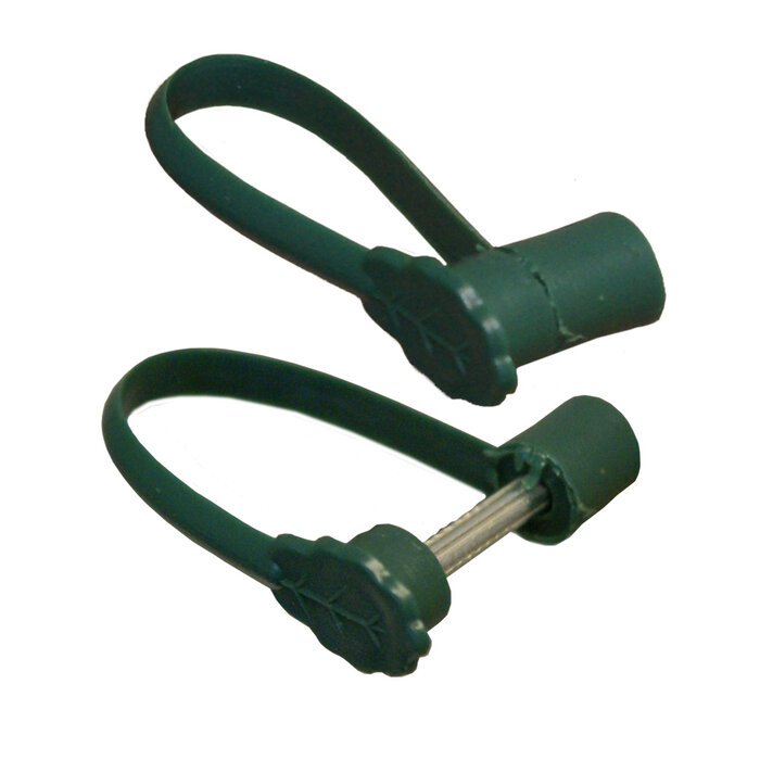 Meuwissen Agro Clematisklem - 10 stuks