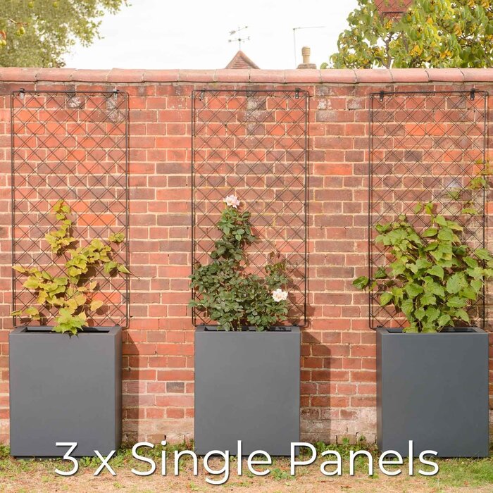 Harrod Trellis staal - Zwart - Inclusief bevestigingen