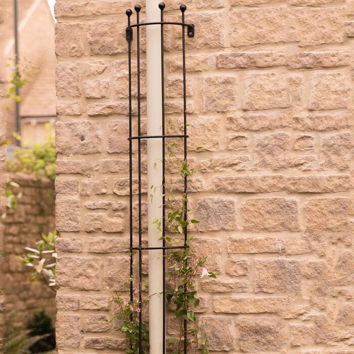 Harrod Regenpijp Trellis - Staal