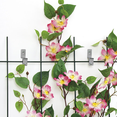 Bellissa Muurbevestiging voor trellis - 7 x 2 cm - RVS