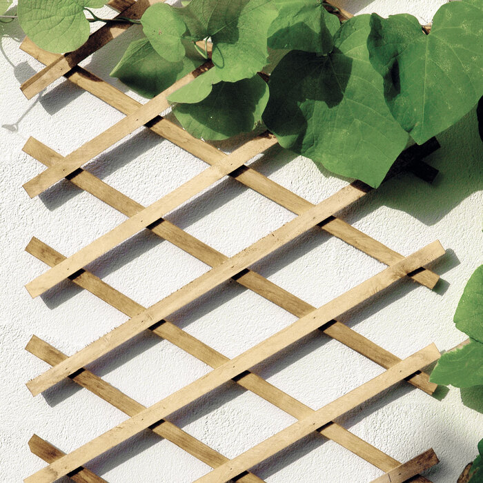 Bellissa Houten harmonica trellis - Uitvouwbaar tot 310 cm