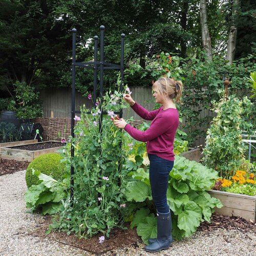 Harrod Obelisk Recht - 2 meter - 40 cm breed