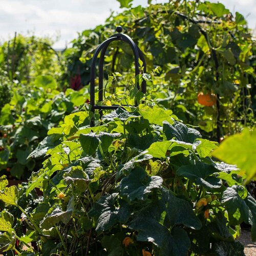 Harrod Obelisk Rond - 2 m hoog - 50 cm breed