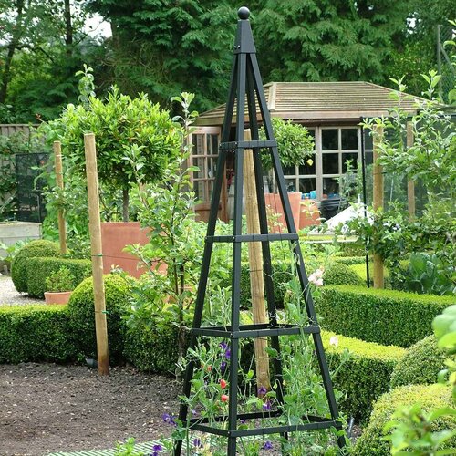 Harrod Obelisk Piramide - 2 m hoog - 60 cm breed