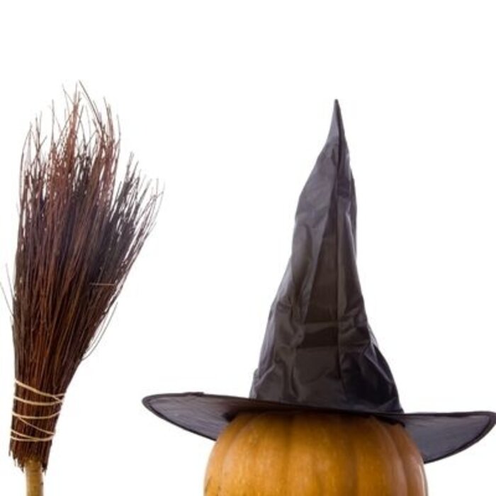 De Wiltfang Heksenbezem zonder steel - Takkenbezem