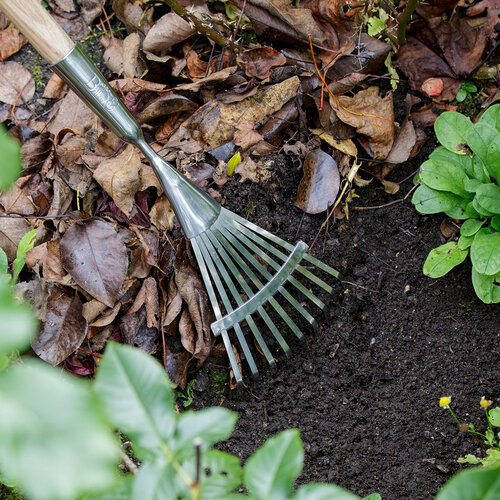 Burgon & Ball RHS Bladhark 9 tanden - 166 cm