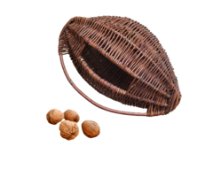 De Wiltfang Walnotenmand - 45 cm - Rotanpalm