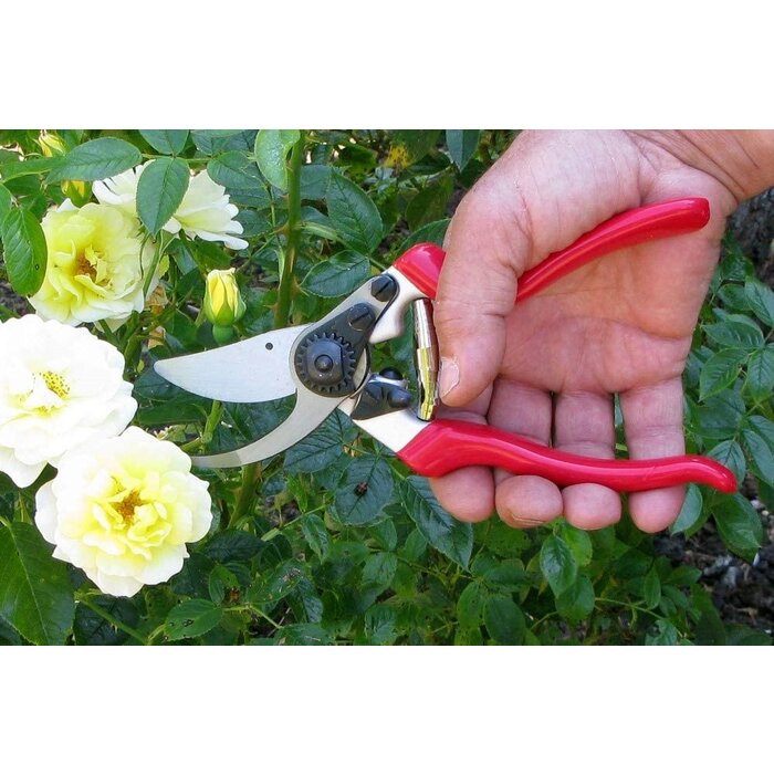 Darlac Snoeischaar - SK5 Koolstofstaal