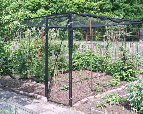 Fruitkooi en vruchten plukken