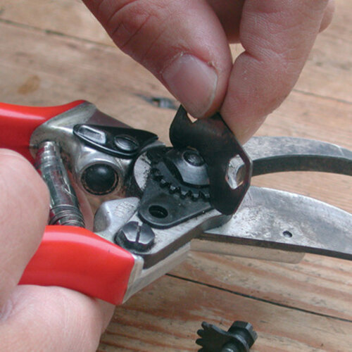 De Wiltfang Felco-service snoeischaar