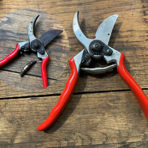 De Wiltfang Felco-service snoeischaar