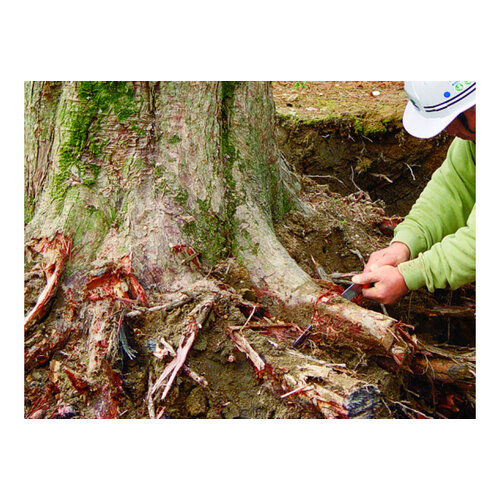 Silky Gomtaro wortelzaag - 240 mm - 8 tanden per 30 mm