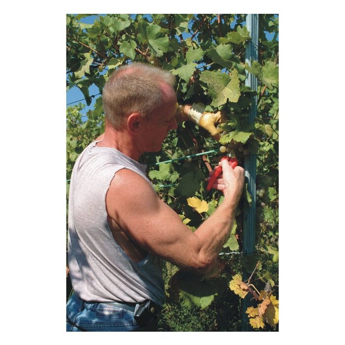 Felco 310 Fruitschaar - bloemschaar - 19cm