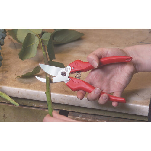 Felco 300 - Bloemenschaar - fruitschaar - gekromde snoeikop - 19cm
