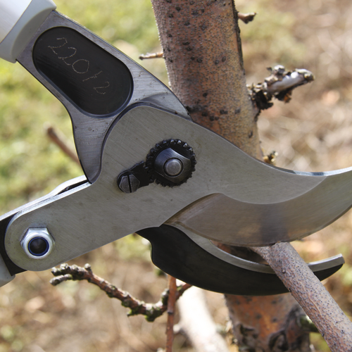 Felco 200A Takkenschaar - lichtgewicht - hefboom - 60 cm