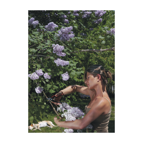 Felco 160 L Snoeischaar - grote handen - lichtgewicht (190 gram)