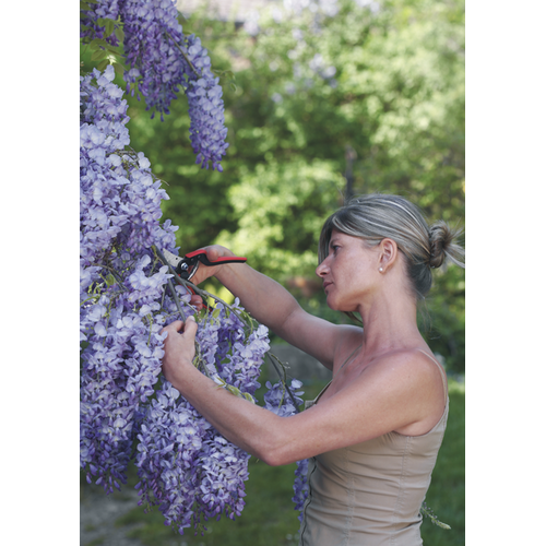 Felco 160 L Snoeischaar - grote handen - lichtgewicht (190 gram)