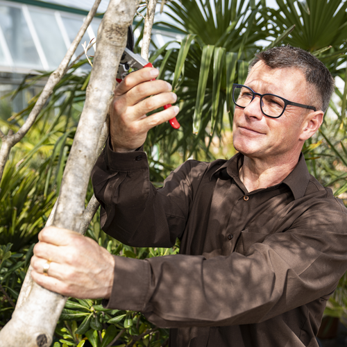 Felco 11 snoeischaar - takdikte 25mm - rechtshandig