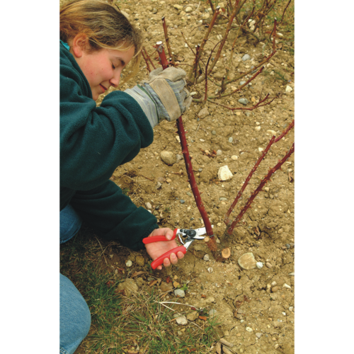 Felco 10 - rolhandgreep - linkhandig - ergonomisch - 25mm takdikte