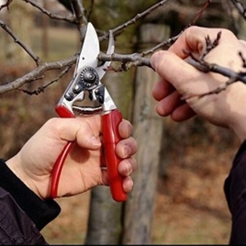 Felco 10 - rolhandgreep - linkhandig - ergonomisch - 25mm takdikte